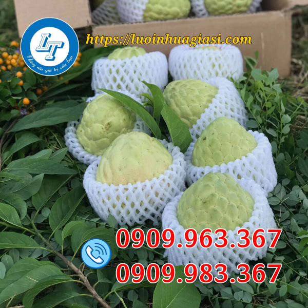 MUA XỐP LƯỚI BAO TRÁI NGUYÊN CUỘN GIẢ RẺ TIẾT KIỆM xốp lưới