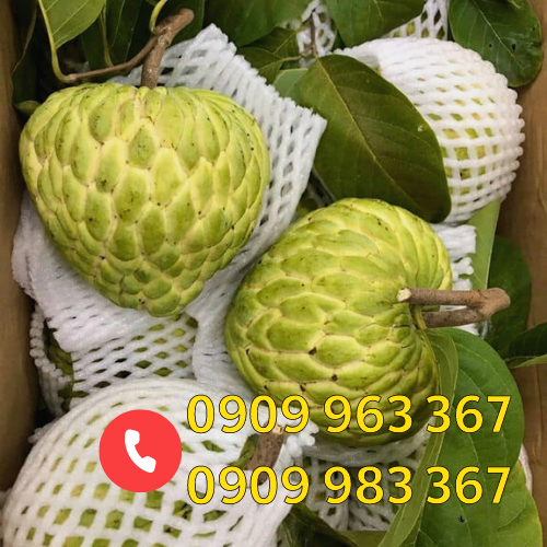 Xốp lưới bao trái cây giá sỉ rẻ xốp lưới bao na