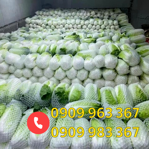 Bán xốp lưới bao trái cây rau củ giá rẻ tại TPHCM xốp lưới bọc bắp cải