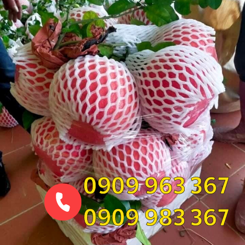 Xốp lưới bọc trái cây giá rẻ nhất TPHCM xốp lưới bao trái cây