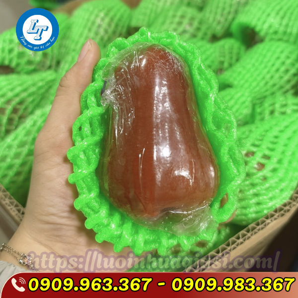 XỐP LƯỚI MÀU XANH LÁ XỐP LƯỚI MÀU XANH LÁ