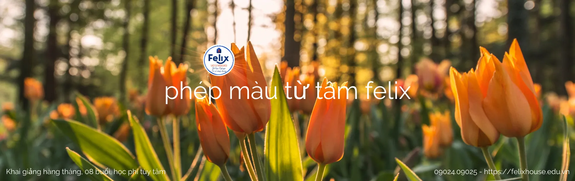 Phép Màu Từ Tâm Felix, khóa học hàng tháng