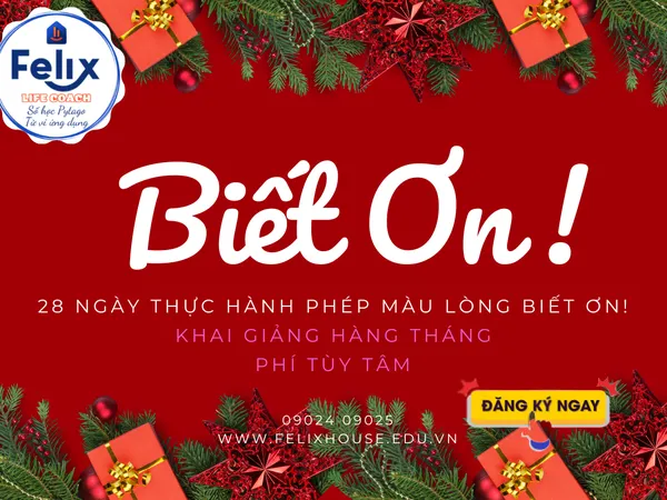 28 NGÀY THỰC HÀNH PHÉP MÀU LÒNG BIẾT ƠN, Học Phí Tùy Tâm