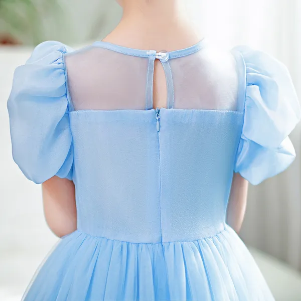 Váy công chúa Elsa Frozen Castle Edge thêu tay áo phồng màu xanh