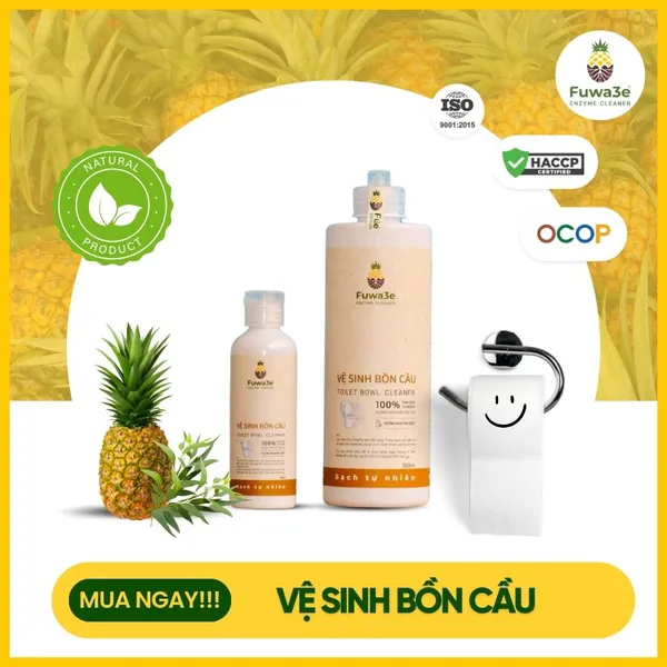 Vệ sinh bồn cầu Fuwa3e