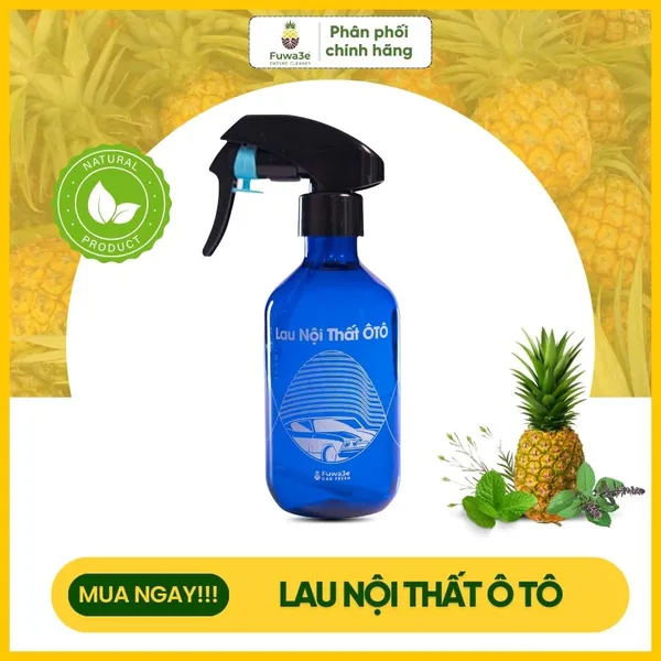 Lau nội thất ô tô Fuwa3e