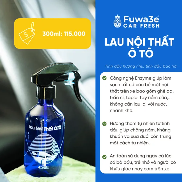 Lau nội thất ô tô Fuwa3e