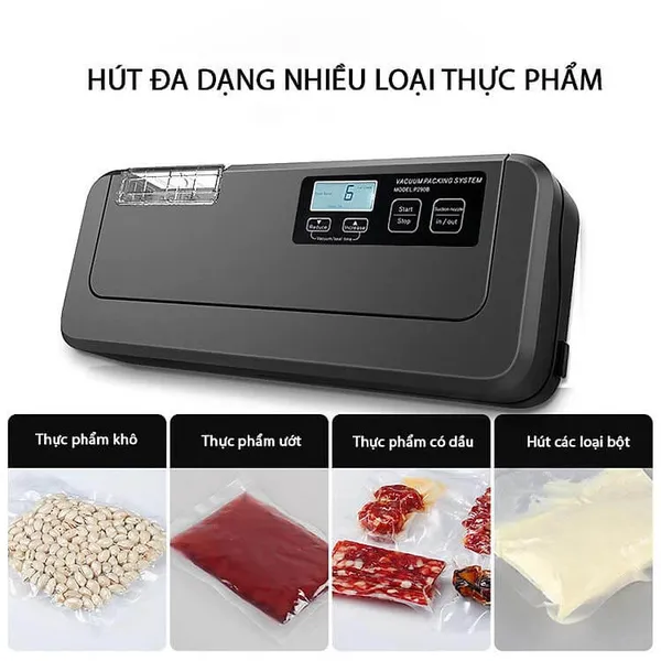 Máy hút chân không P290B