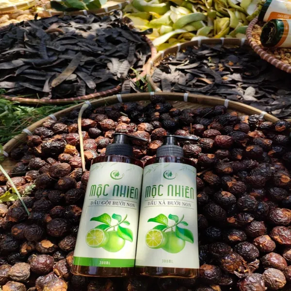 COMBO DẦU GỘI XẢ THẢO DƯỢC BƯỞI NON MỘC NHIÊN