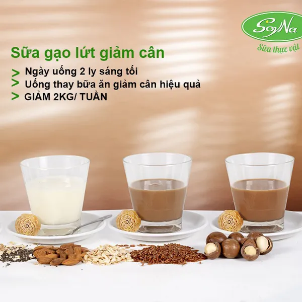 Sữa mầm gạo lứt giảm cân Soyna 400GR