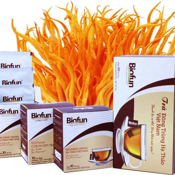 Trà đông trùng hạ thảo ngũ vị Biofun 
