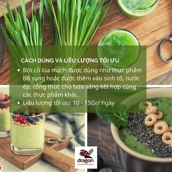 Bột Cỏ Lúa Mì Hữu Cơ Dragon Superfoods