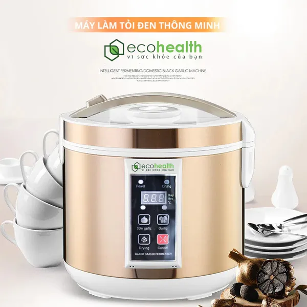 Máy Làm Tỏi Đen Eco-Health