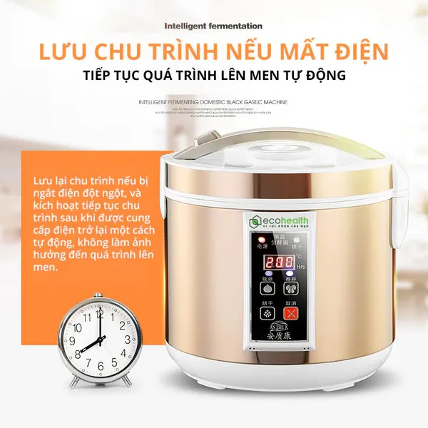 Máy Làm Tỏi Đen Eco-Health
