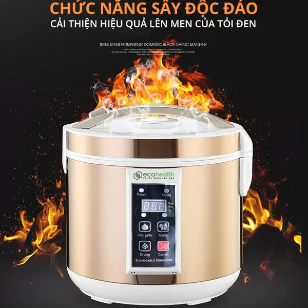 Máy Làm Tỏi Đen Eco-Health