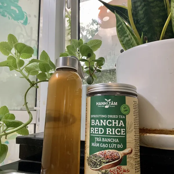 Trà Bancha, mầm gạo lứt đỏ rang