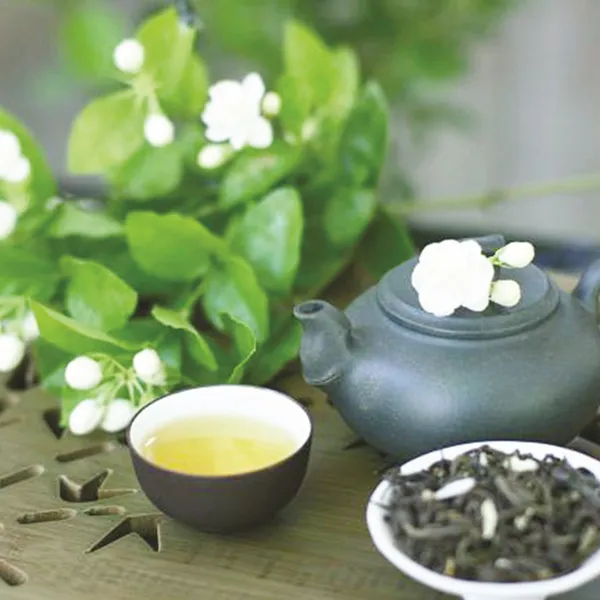 TRÀ ƯỚP HOA NHÀI VIFARMERS