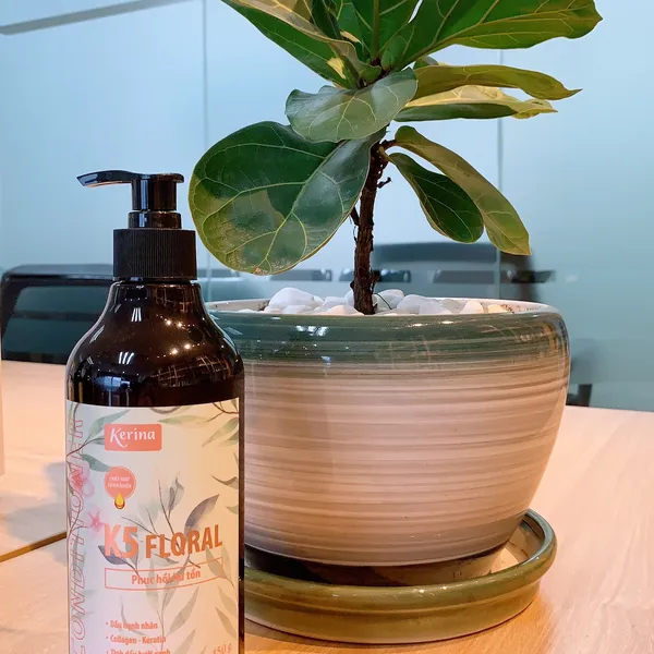 Dầu xả Thiên nhiên Kerina K5 Floral Phục hồi Hư tổn 450g