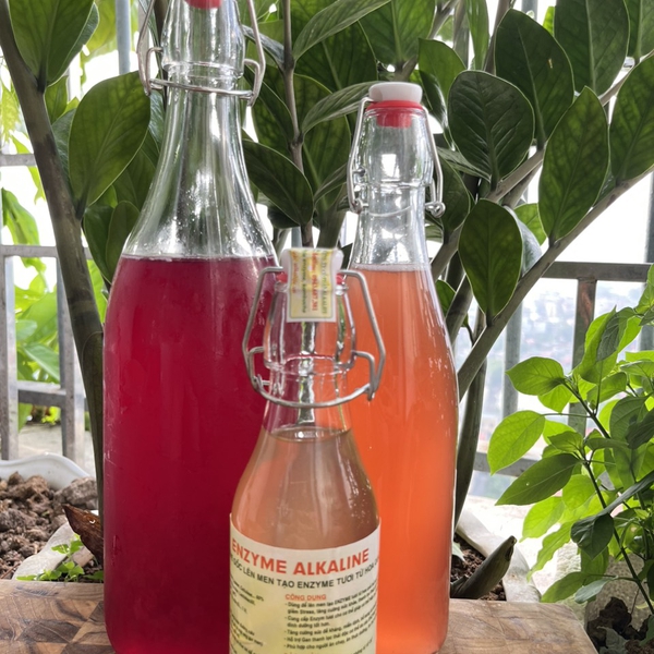 MẬT ONG LÊN MEN ENZYME ALKALINE
