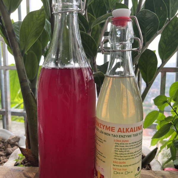 MẬT ONG LÊN MEN ENZYME ALKALINE
