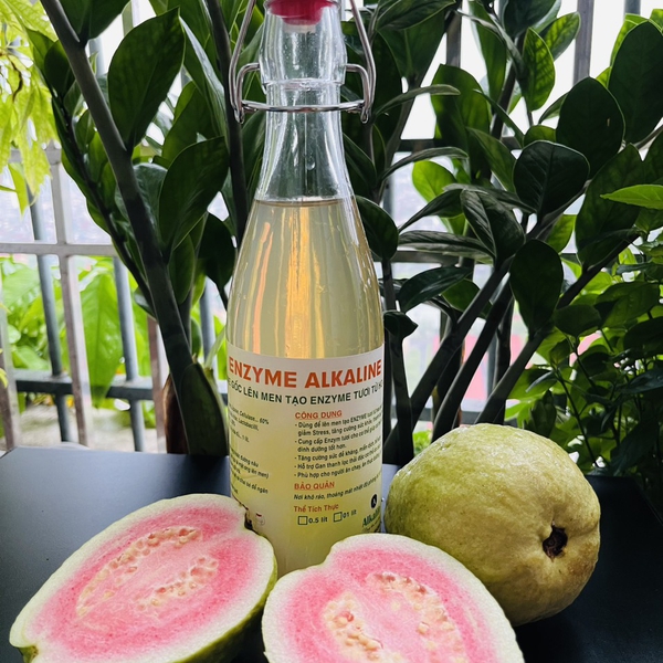 MẬT ONG LÊN MEN ENZYME ALKALINE