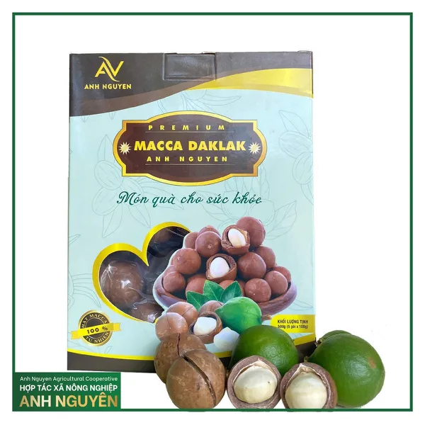 Hạt Macca Daklak size VIP - Hộp 500gram ( gồm 5 gói nhỏ 100gram ) 
