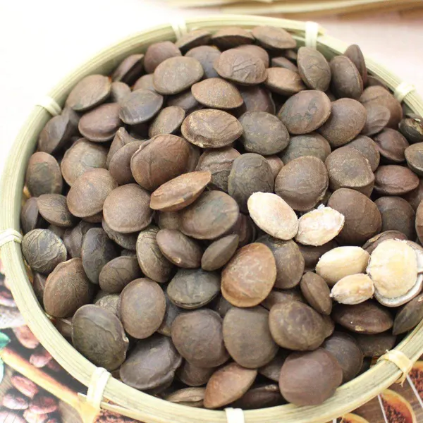 Hạt Sachi rang muối - Hộp 500gram
