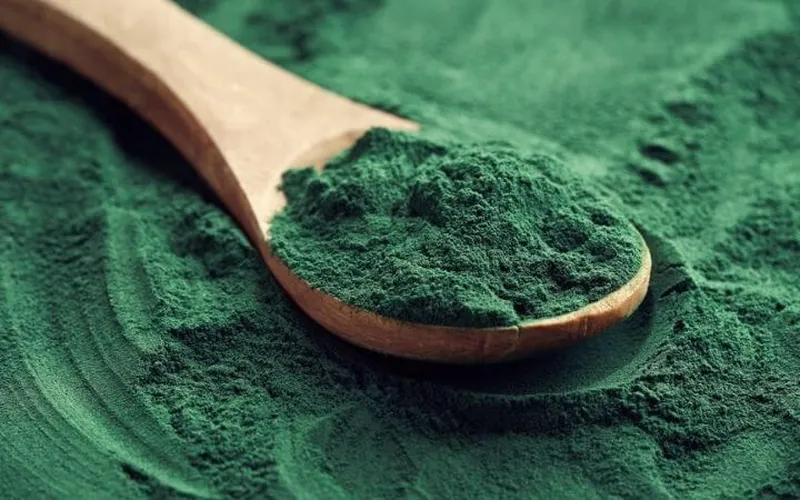 13 tác dụng của tảo xoắn  có thể bạn chưa biết