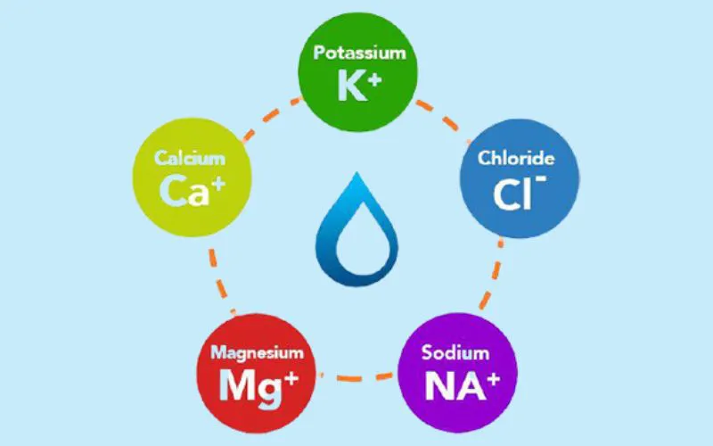 Chất điện giải là gì? Lợi ích và cách bổ sung chất điện giải
