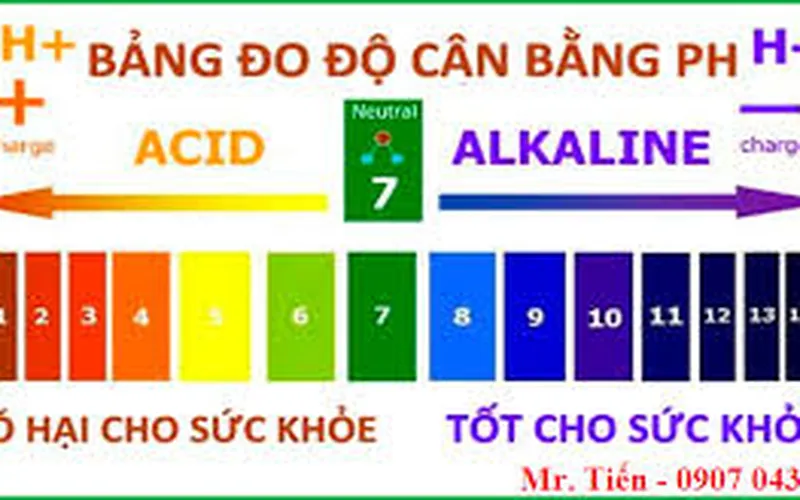 Độ pH là gì? Chỉ số pH trong cơ thể người bao nhiêu là tốt?