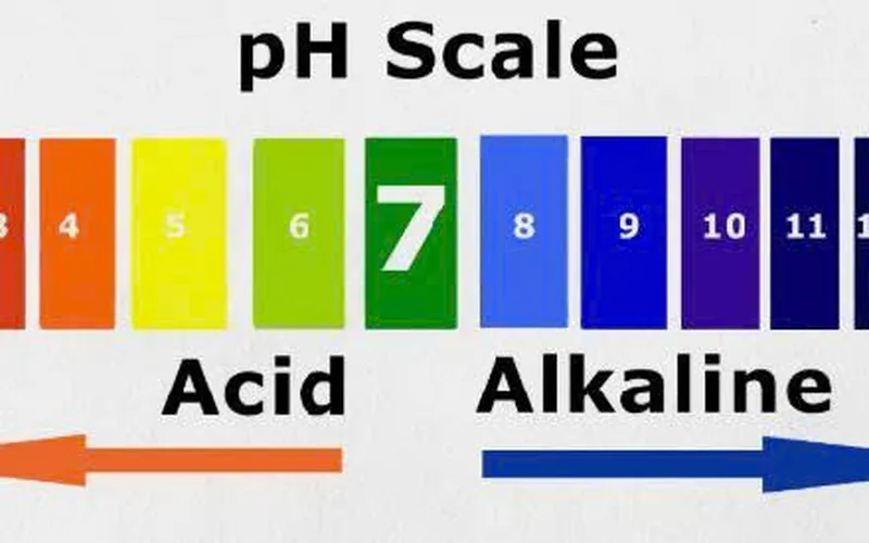 AI LÀ NGƯỜI PHÁT MINH RA THANG ĐO PH TRONG HÓA HỌC?