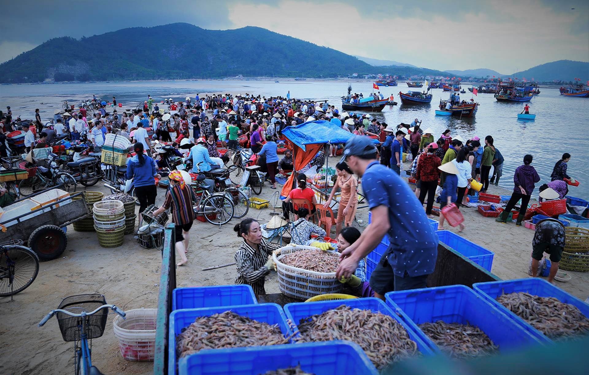 Vựa Hải Sản Hồ Tràm: Bí Quyết Chọn Hải Sản Tươi Ngọt, Giá Tốt Cho Mọi Nhà