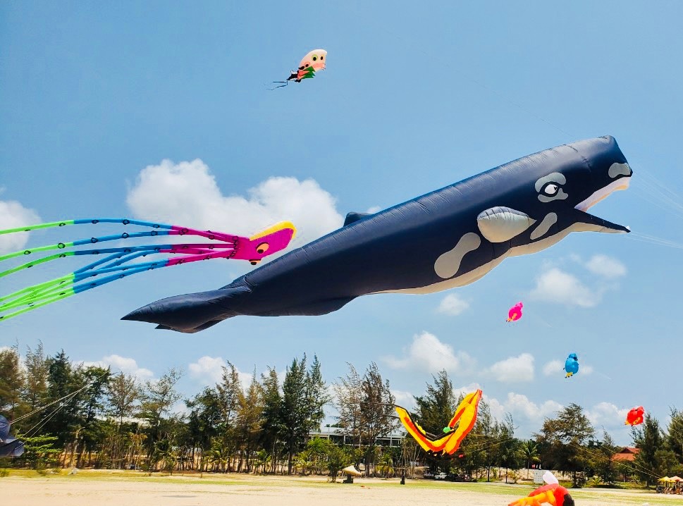 lễ hội thả diều Hồ Tràm