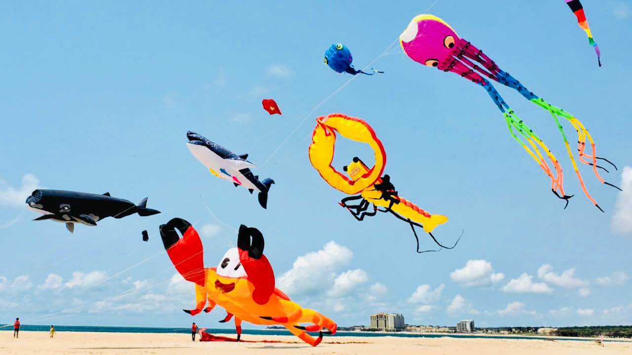 lễ hội thả diều Hồ Tràm