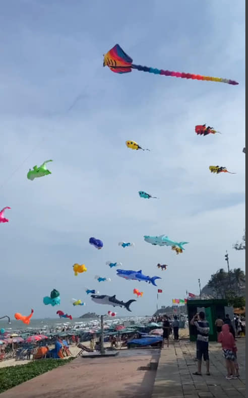 Lễ hội biểu diễn diều nghệ thuật Hồ Tràm 2023