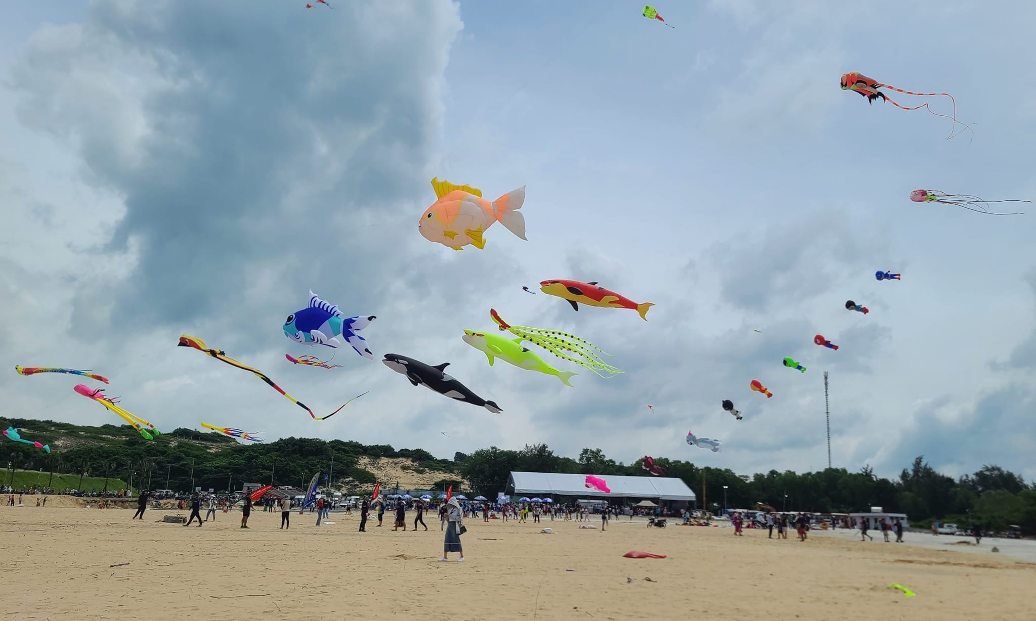 Mãn nhãn với lễ hội diều nghệ thuật Hồ Tràm huyện Xuyên Mộc