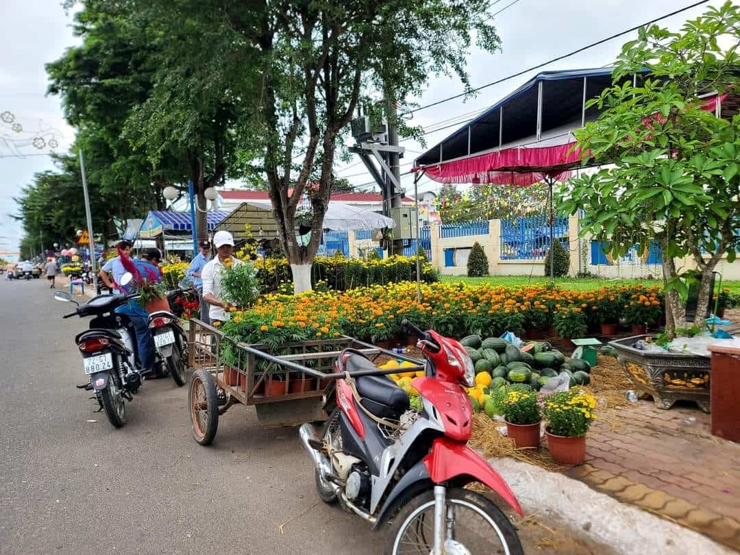 Người dân mua hoa ở chợ hoa Tết Xuyên Mộc Người dân mua hoa ở chợ hoa Tết Xuyên Mộc