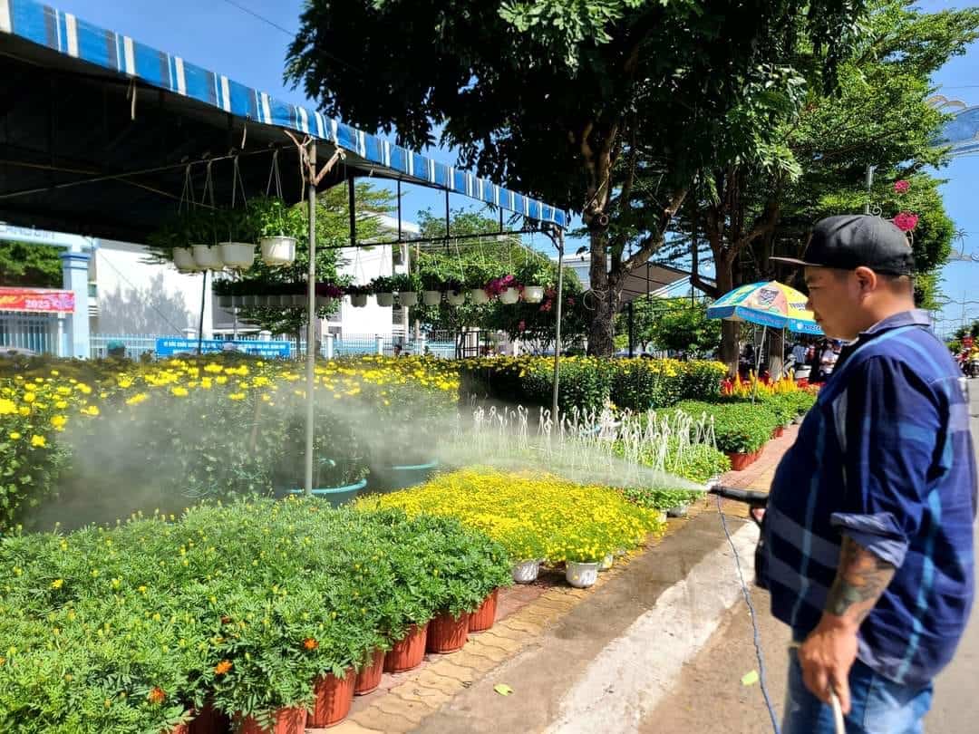 Tiểu thương bán hoa tại chợ hoa Tết Xuyên Mộc Tiểu thương bán hoa tại chợ hoa Tết Xuyên Mộc