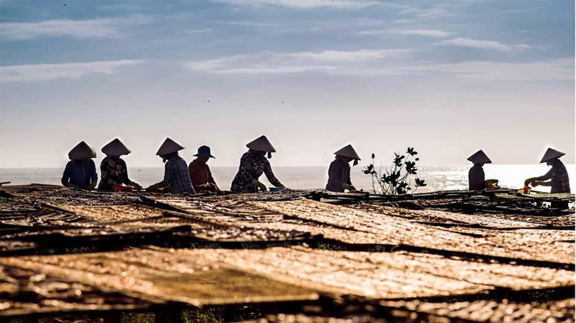 Bà con phơi cá tại làng chài Phước Hải Bà con phơi cá tại làng chài Phước Hải