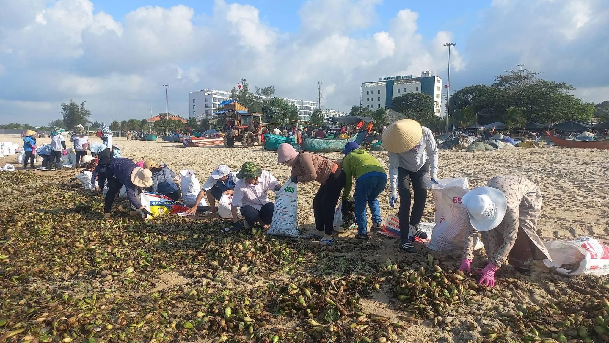 Hồ Tràm ra quân làm sạch bờ biển 2026 thu hút rất nhiều người tham gia Hồ Tràm ra quân làm sạch bờ biển 2026 thu hút rất nhiều người tham gia