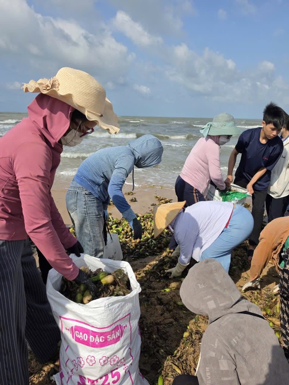 Hội nông dân và các trường học Hồ Tràm ra quân làm sạch bờ biển 2026 Hội nông dân và các trường học Hồ Tràm ra quân làm sạch bờ biển 2026