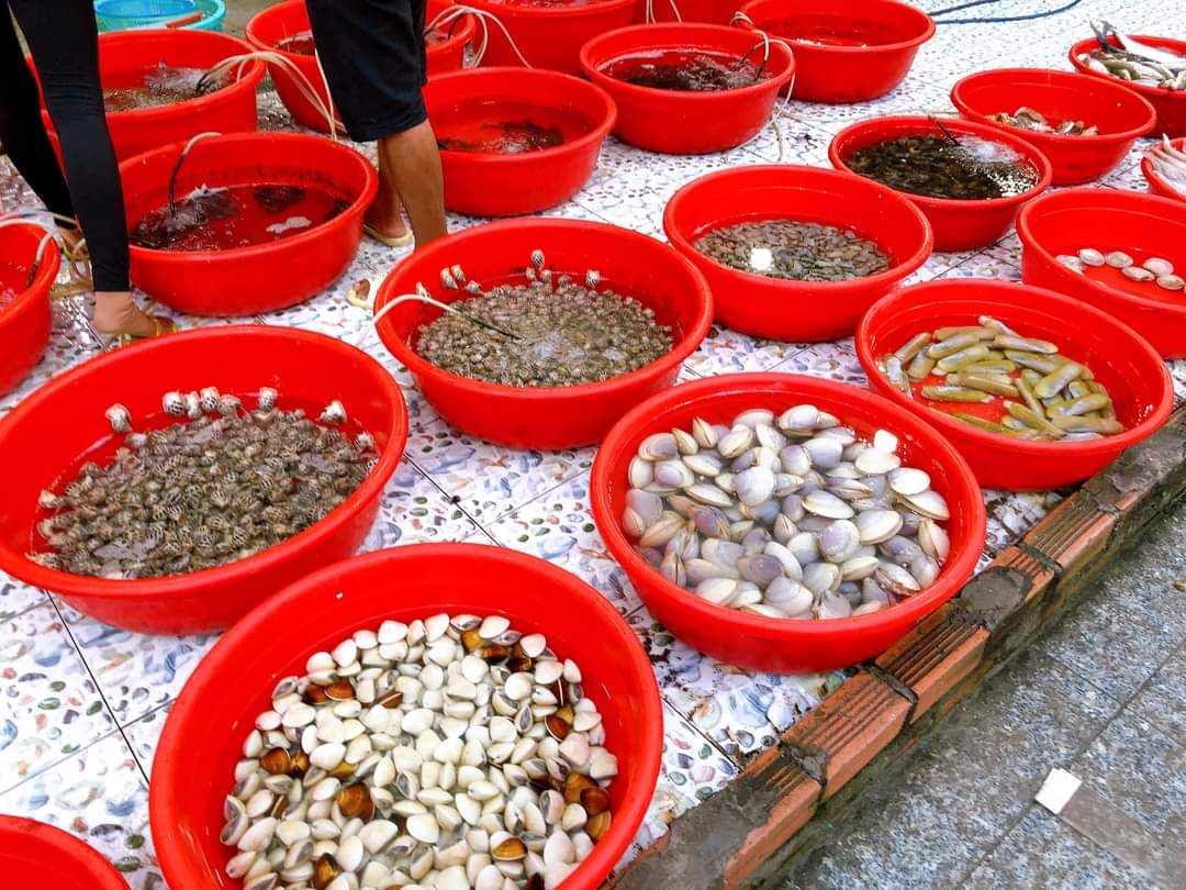 review du lịch Hồ Tràm