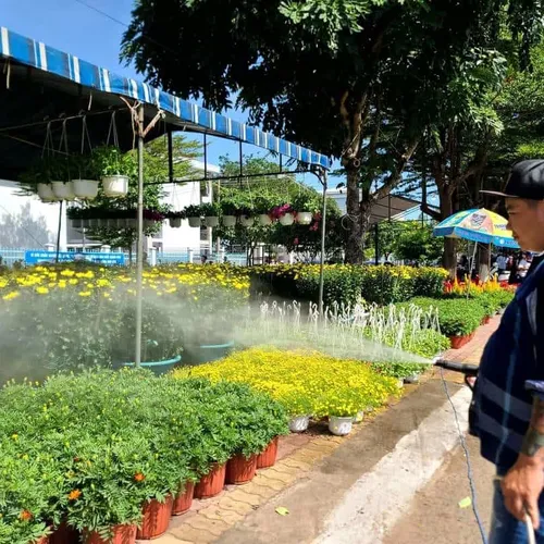 Chợ hoa Tết Xuyên Mộc bắt đầu từ 30/01