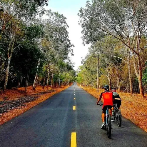 Du lịch Xuyên Mộc thăm rừng, núi, biển