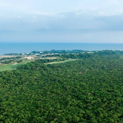 Hồ Tràm – Điểm Đến Nghỉ Dưỡng Mới Gần TP.HCM Đang Được Giới Trẻ Săn Đón