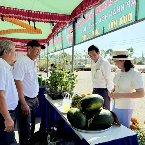 Lễ khai mạc trưng bày và bán sản phẩm OCOP dịp xuân Bính Ngọ 2026