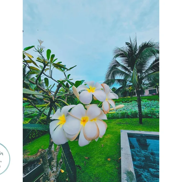 Villa Coastar Hồ Tràm - Căn 3 phòng ngủ – Căn 003