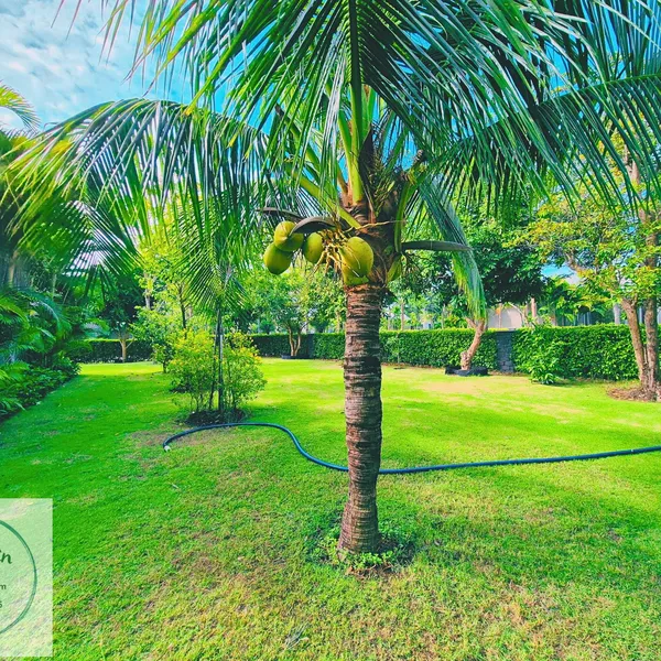 Villa Coastar Hồ Tràm - Căn 115