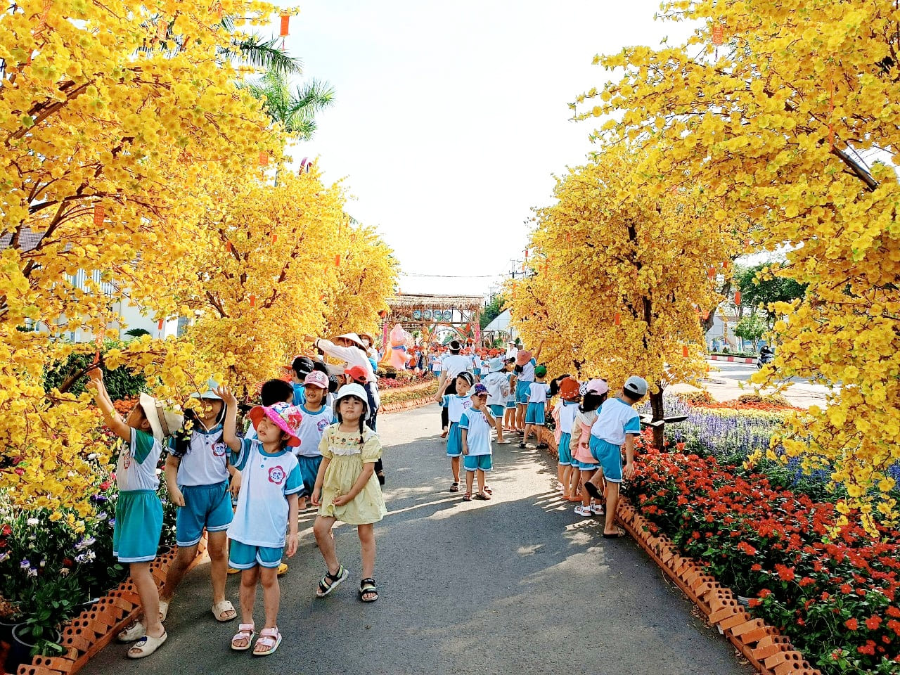 Xuyên Mộc cất cánh