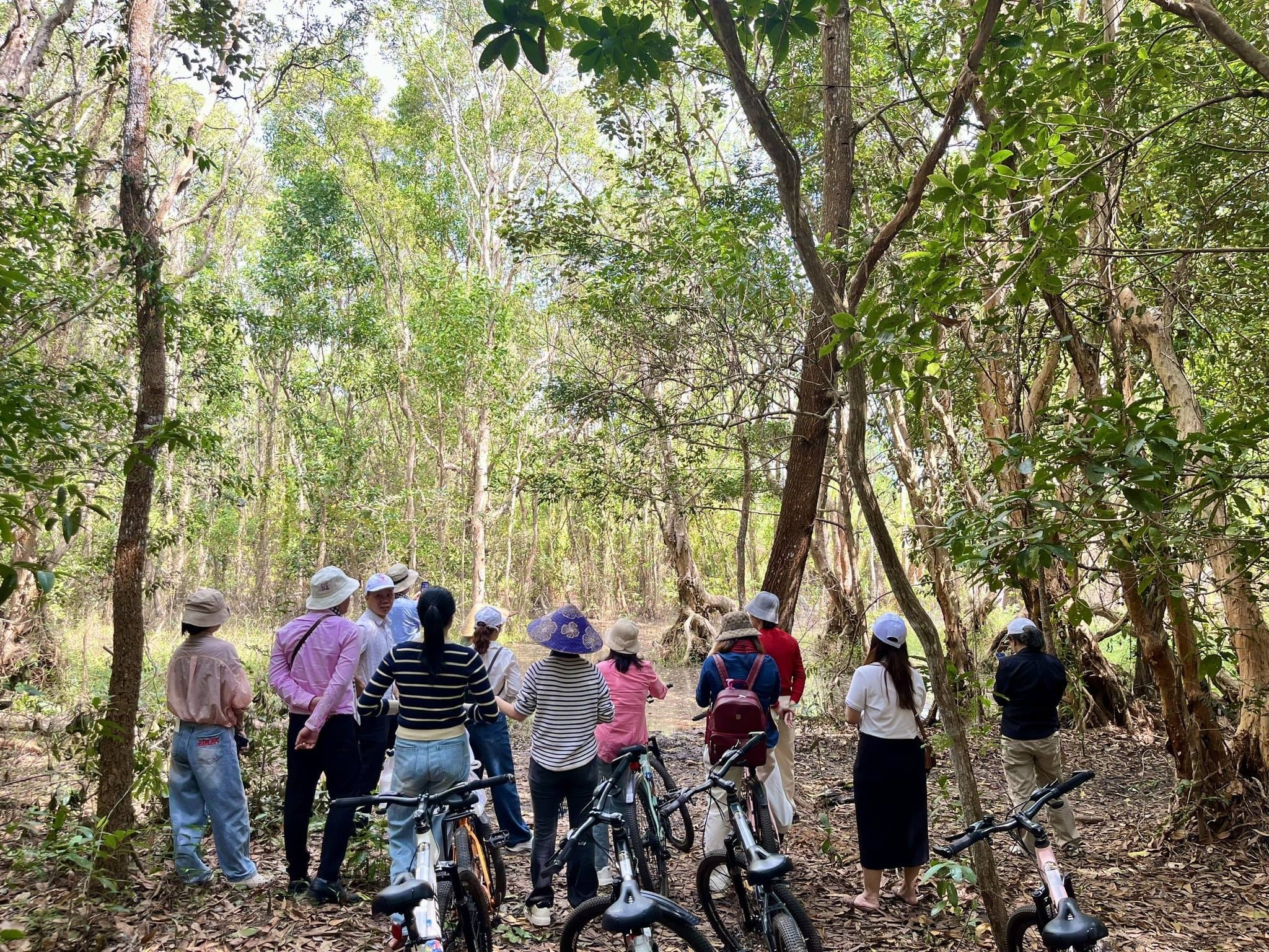Xuyên Mộc chuẩn bị đề án phát triển du lịch Xuyên Mộc chuẩn bị đề án phát triển du lịch